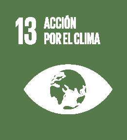 Icono ODS 13 Acción por el clima